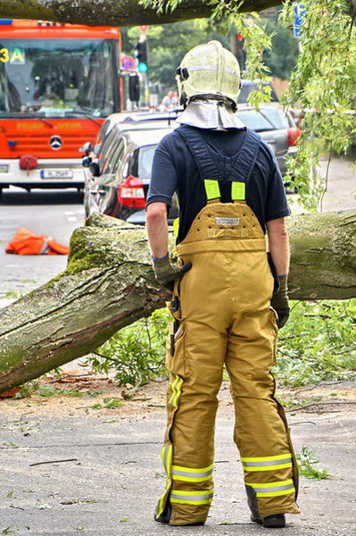 Feuerwehr_Baum   014.jpg